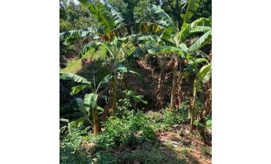 Venta de lote a partir de 2.000 mtrs2. Santa Marta Colombia