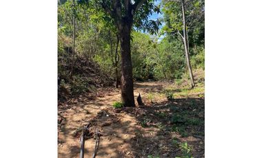 Venta de lote a partir de 2.000 mtrs2. Santa Marta Colombia