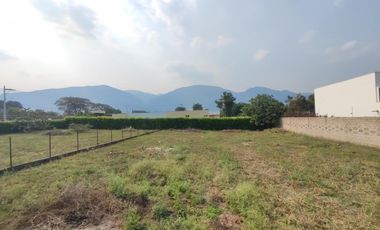 lote en venta en corozal. Cod V29027