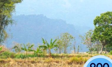 Tanah Kavling Investasi Villa Pacet Mojokerto SHM