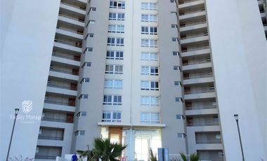 Depto. en arriendo de 2 dorm Laguna del Mar año corrido