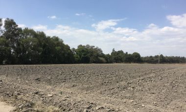 VENTA DE TERRENO, EN SAN MIGUEL XOXTLA ATRAS DE TERNIUM,