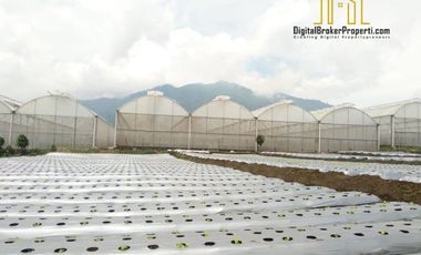 BU CEPAT tanah cocok untu pariwisata di cisarua bandung