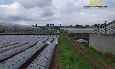 BU CEPAT tanah cocok untu pariwisata di cisarua bandung