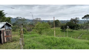 FINCA EN FILANDIA
