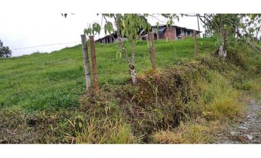 FINCA EN FILANDIA