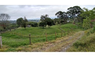 FINCA EN FILANDIA