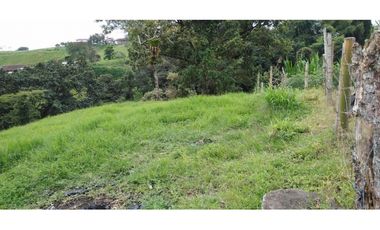 FINCA EN FILANDIA