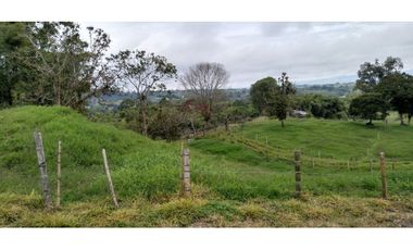 FINCA EN FILANDIA