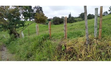 FINCA EN FILANDIA