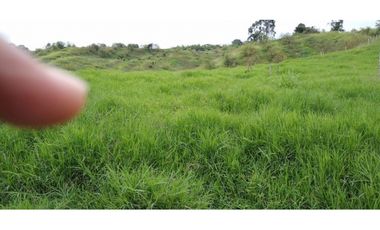 FINCA EN FILANDIA