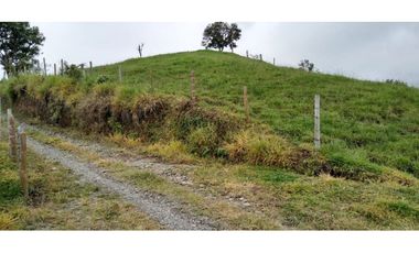 FINCA EN FILANDIA
