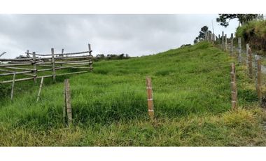 FINCA EN FILANDIA