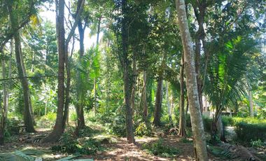 Tanah Pekarangan Lokasi Strategis di Kawasan Berkembang Bantul