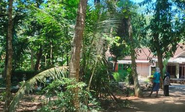 Tanah Pekarangan Lokasi Strategis di Kawasan Berkembang Bantul