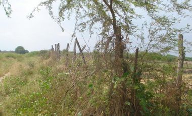 Terrenos Agricolas Venta Puerto El Cura - TUMBES