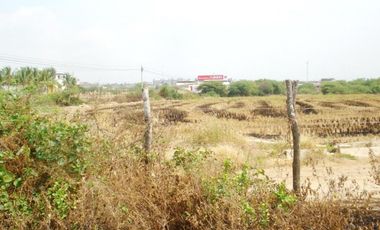 Terrenos Agricolas Venta Puerto El Cura - TUMBES