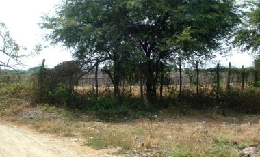 Terrenos Agricolas Venta Puerto El Cura - TUMBES