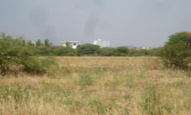Terrenos Agricolas Venta Puerto El Cura - TUMBES