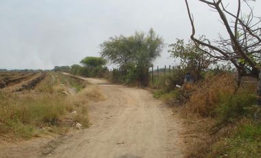 Terrenos Agricolas Venta Puerto El Cura - TUMBES