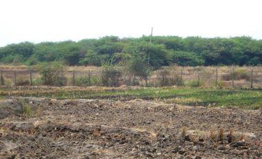 Terrenos Agricolas Venta Puerto El Cura - TUMBES