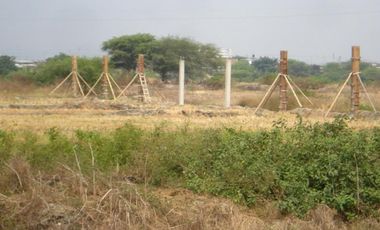 Terrenos Agricolas Venta Puerto El Cura - TUMBES