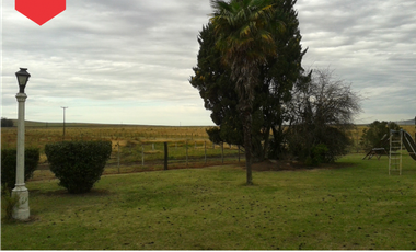 Campo de 60 hectáreas en Dos Naciones
