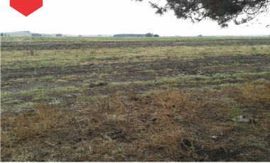 Campo de 60 hectáreas en Dos Naciones