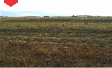 Campo de 60 hectáreas en Dos Naciones