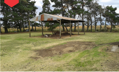 Campo de 60 hectáreas en Dos Naciones