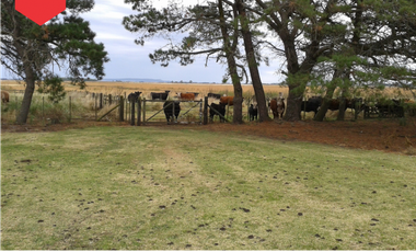 Campo de 60 hectáreas en Dos Naciones