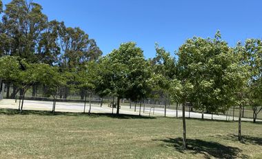 Terreno en venta  Barrancas de San Benito, Chapadmalal.