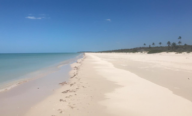 Venta de terreno en playa Sisal Yucatán