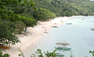 White sand beach front property FOR SALE in Sipalay City