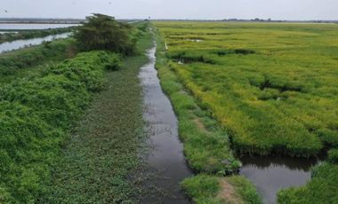 Terreno en Venta Sector Yaguachi