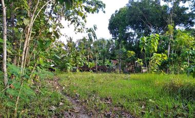 dijual rumah kavling minimalis banyuroto nanggulan