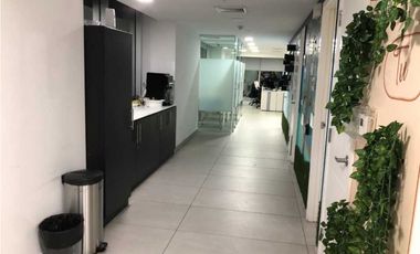 ALQUILO OFICINA 268 M2 AMOBLADA MTTO INLCUIDO SAMUEL LEWIS OBARRIO