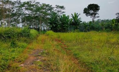 Tanah Dijual 7 Menit Alun-alun Kajen: SHM