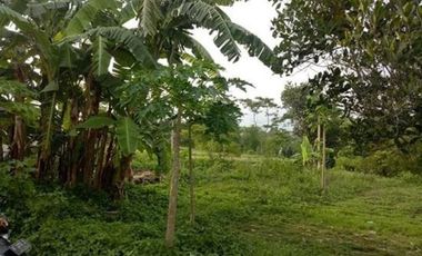 Land for sale