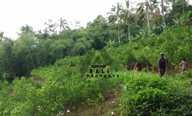 Tanah Murah Di Taro Tegallalang Ubud Bali