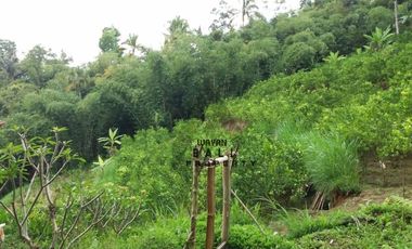 Tanah Murah Di Taro Tegallalang Ubud Bali