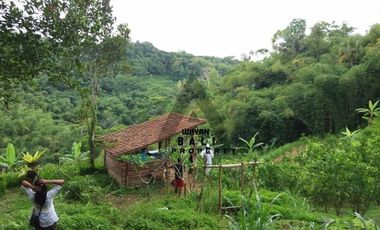 Tanah Murah Di Taro Tegallalang Ubud Bali