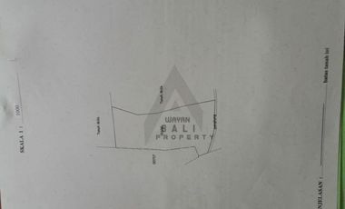 Tanah Murah Di Taro Tegallalang Ubud Bali