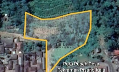 Tanah Murah Di Taro Tegallalang Ubud Bali
