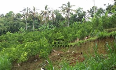 Tanah Murah Di Taro Tegallalang Ubud Bali