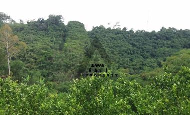 Tanah Murah Di Taro Tegallalang Ubud Bali