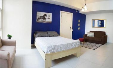 TWINOAKS19X: For Sale Fully Furnished Studio Unit no Balcony at Twin Oaks Place Mandaluyong