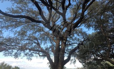 Casas Venta San Pedro Garza García Zona Valle 40-CV-853