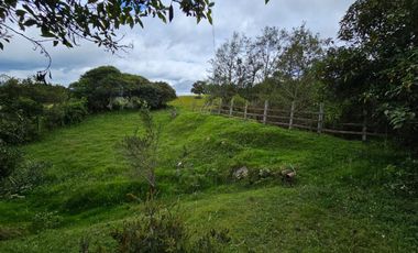 finca en venta en sin barrio. Cod V8715586