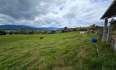 finca en venta en sin barrio. Cod V8715586